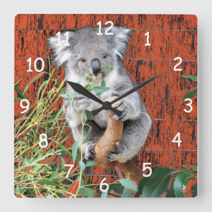 Koala Snack Time Quadratische Wanduhr