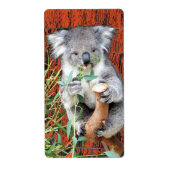 Koala Snack Time Return Address Label (Vorne)