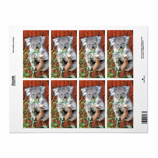 Koala Snack Time Return Address Label (Vorne)
