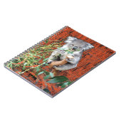 Koala Snack Time Spiral Notebook Notizblock (Linke Seite)