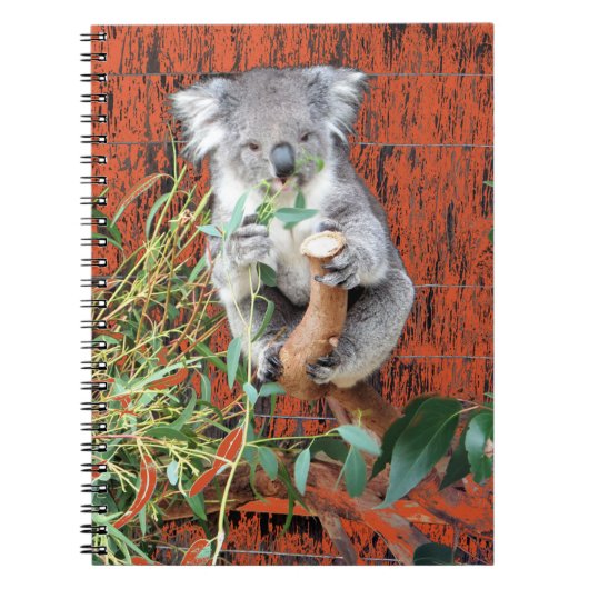 Koala Snack Time Spiral Notebook Notizblock (Vorderseite)