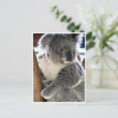 Koala-Spaß Postkarte (Stehend Vorderseite)