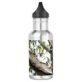 Koala - Spendentags Edelstahlflasche (Links)