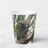 Koala - Spendentags Pappbecher (Rückseite)
