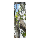 Koala - Spendentags Thermosbecher (Rückseite)