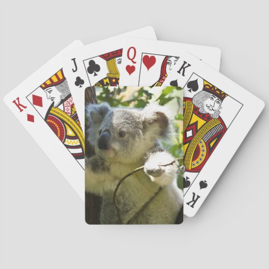 Koala Spielkarten (Rückseite)