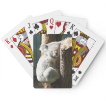 Koala-Spielkarten
