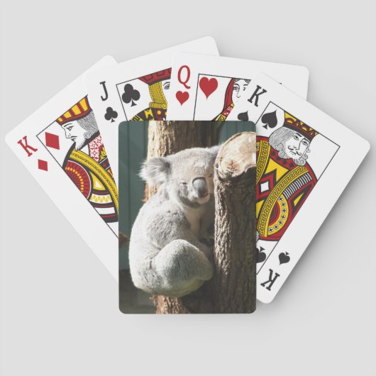 Koala-Spielkarten Spielkarten (Rückseite)