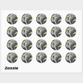 Koala Sticker (Blatt)