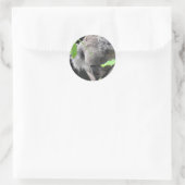 Koala Sticker (Tasche)