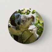 Koala Süsse Button (Vorderseite)