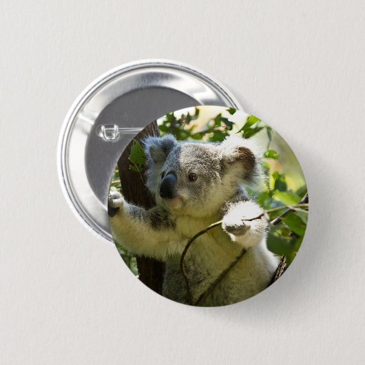 Koala Süsse Button (Vorne & Hinten)