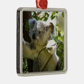 Koala Süsse Ornament Aus Metall (Rechts)