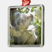 Koala Süsse Ornament Aus Metall (Links)