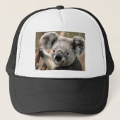 Koala Truckerkappe (Vorderseite)