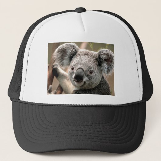 Koala Truckerkappe (Vorderseite)