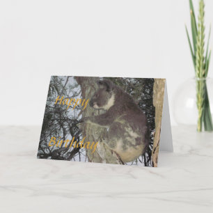 Koala umarmt Bäume Geburtstagskarte Karte