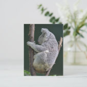 Koala-Umarmung Postkarte (Stehend Vorderseite)