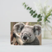 Koala un animal unico postkarte (Stehend Vorderseite)