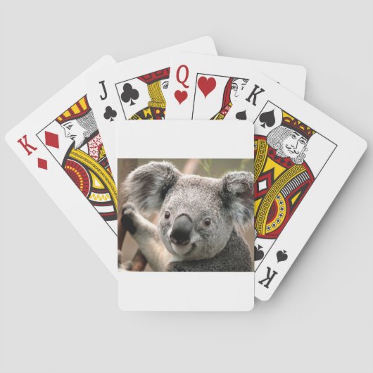 Koala un animal unico spielkarten (Rückseite)