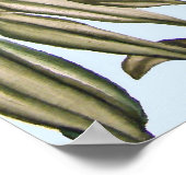 Koala und Baby in Eukalyptus Tree Poster (Ecke)