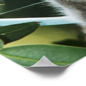 Koala und Cub Poster (Ecke)