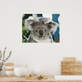 Koala und Cub Poster (Küche)