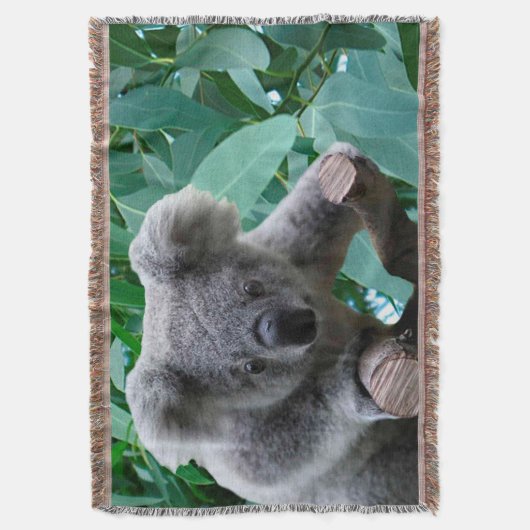 Koala und Eukalyptus Decke (Vorderseite Vertikal)