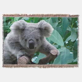 Koala und Eukalyptus Decke