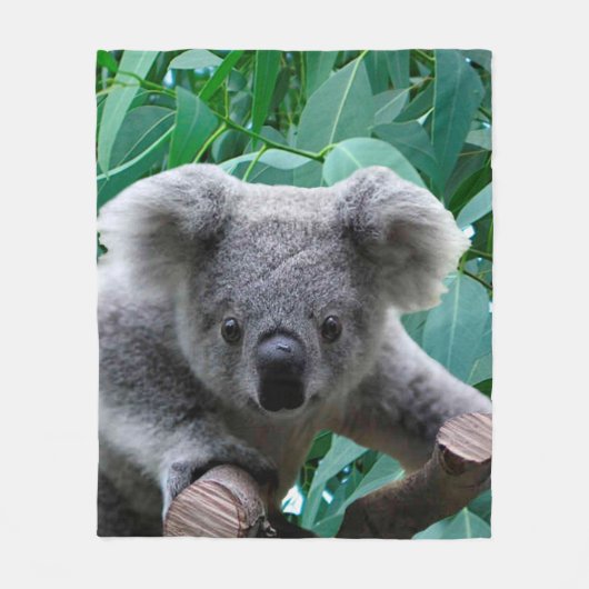Koala und Eukalyptus Fleecedecke (Vorderseite)