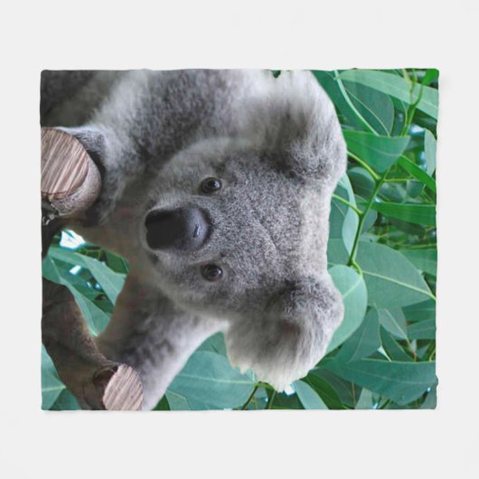 Koala und Eukalyptus Fleecedecke (Vorderseite (Horizontal))