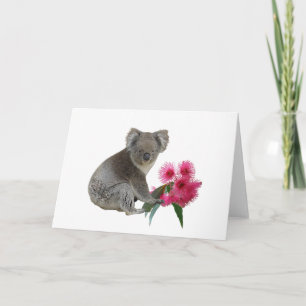 Koala und Eukalyptus Karte