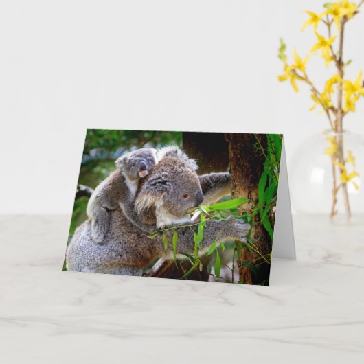 Koala und Joey Mothers Day Card Karte (Gelbe Blume)