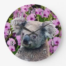 Koala und Orchids