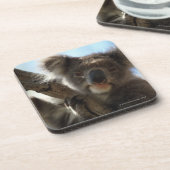 Koala Untersetzer (Linke Seite)