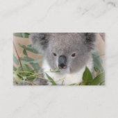Koala-Visitenkarte Visitenkarte (Rückseite)
