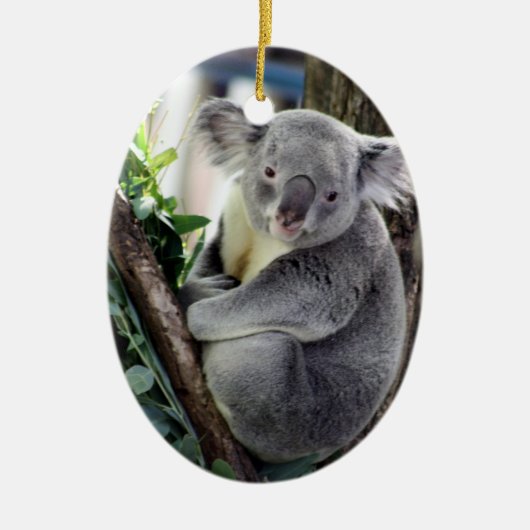 Koala-Weihnachten Keramikornament (Vorne)
