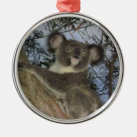 Koala Weihnachtsschmuck (Vorne)