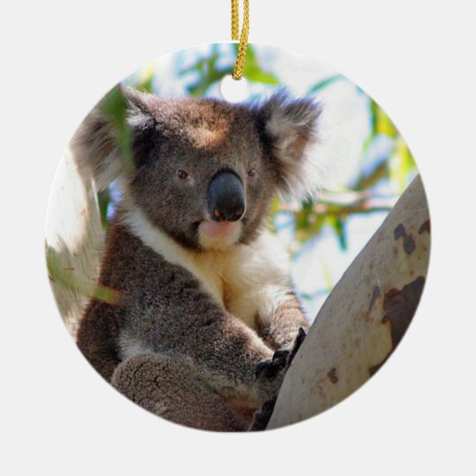 Koala-Weihnachtsverzierung Keramik Ornament (Vorne)