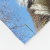 "Koala Wonders: Eine herzerwärmende FotoCollage" Fleecedecke (Ecke)