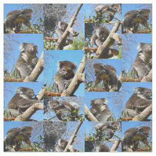 "Koala Wonders: Eine herzerwärmende FotoCollage" Stoff