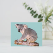 Koala Zeichnend Postkarte (Stehend Vorderseite)