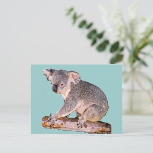 Koala Zeichnend Postkarte (Stehend Vorderseite)