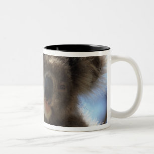 Koala Zweifarbige Tasse