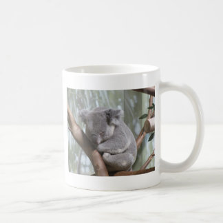 Koalabär Kaffeetasse