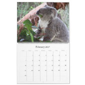 Koalas 2025 großer Kalender (Feb 2027)