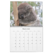 Koalas 2025 kalender (Mär 2026)
