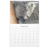Koalas 2025 kalender (Jan 2026)