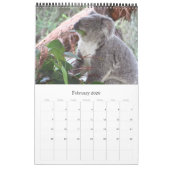 Koalas 2025 kalender (Feb 2026)