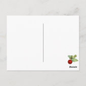 Koalas Christmas Postcard Postkarte (Rückseite)